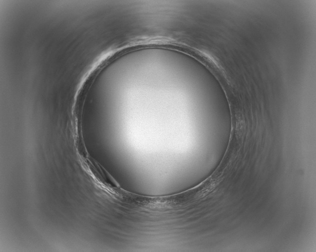 X0000052981414200508051029