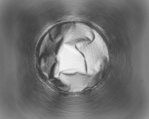 X0000052981415200508051029