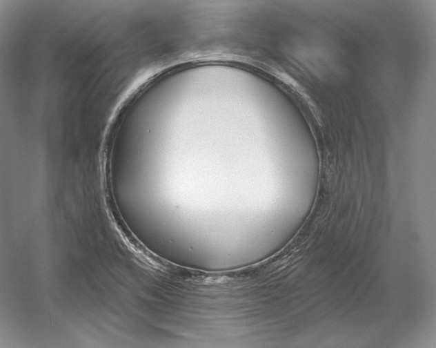 X0000052981416200508051029