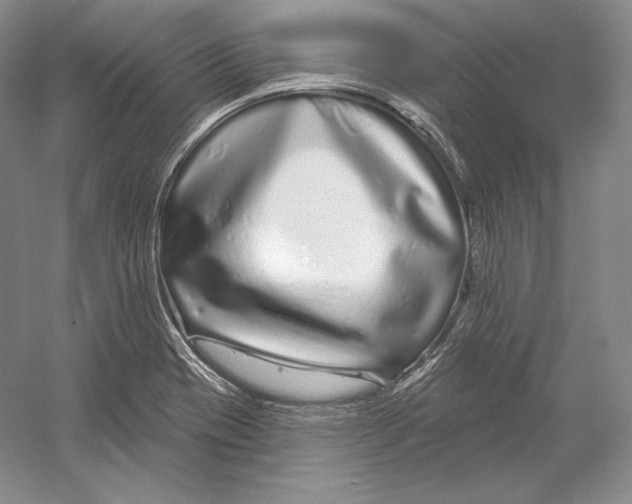 X0000052981417200508051029