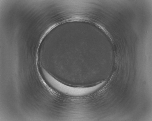 X0000052981418200508051029