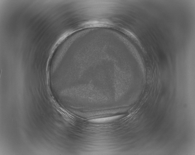 X0000052981419200508051029