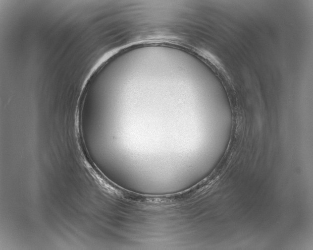 X0000052981420200508051029