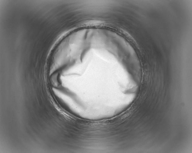 X0000052981421200508051029