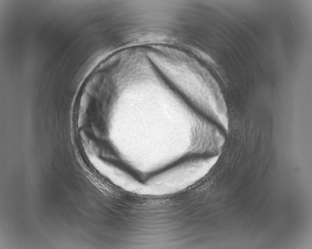 X0000052981423200508051029