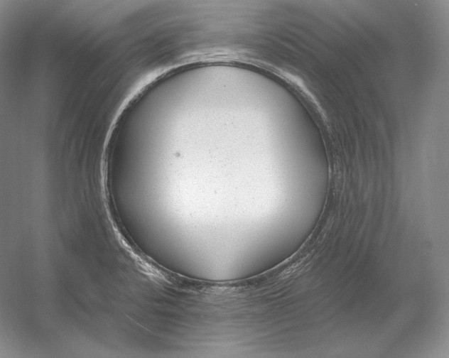 X0000052981424200508051029