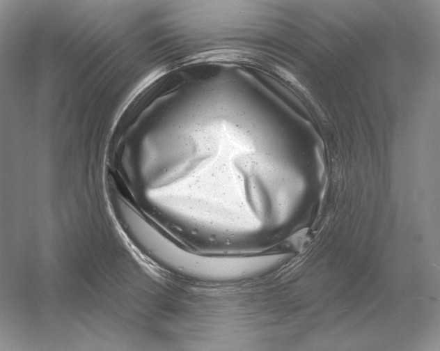 X0000052981426200508051029