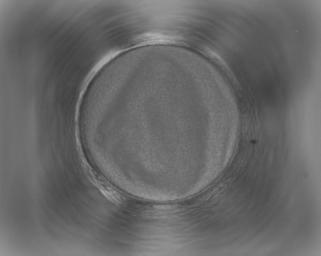 X0000052981427200508051029