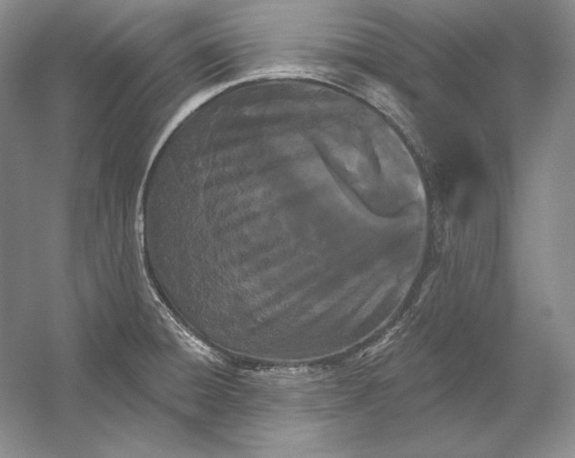 X0000052981428200508051029