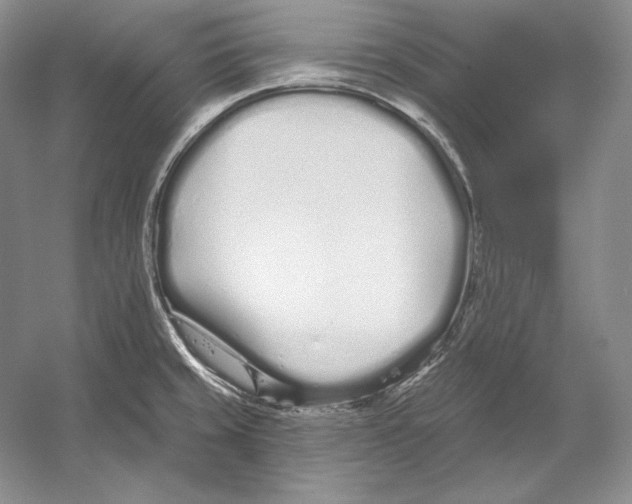 X0000052981429200508051029