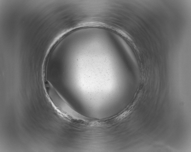 X0000052981430200508051029