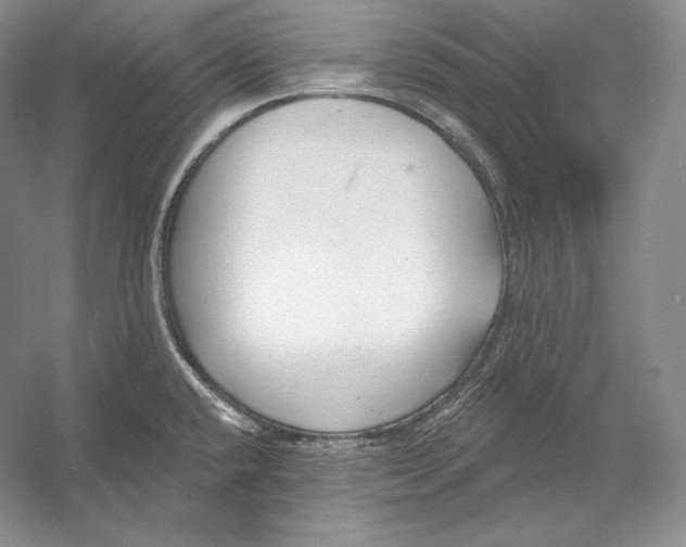 X0000052981432200508051029