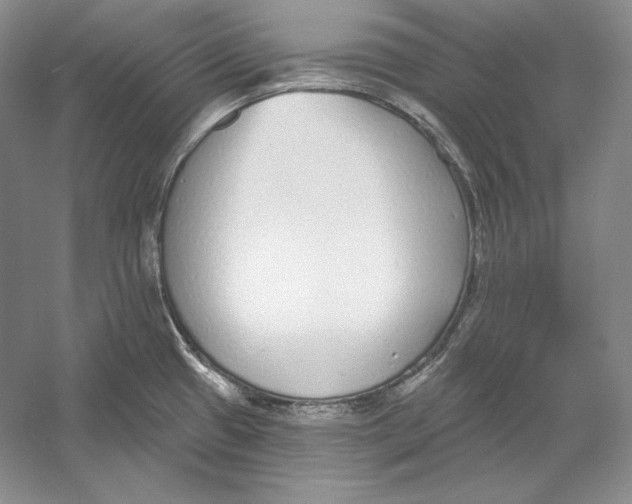 X0000052981433200508051029