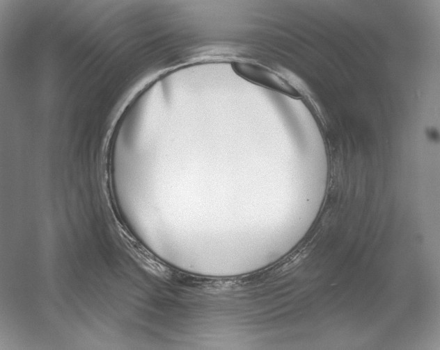 X0000052981435200508051029