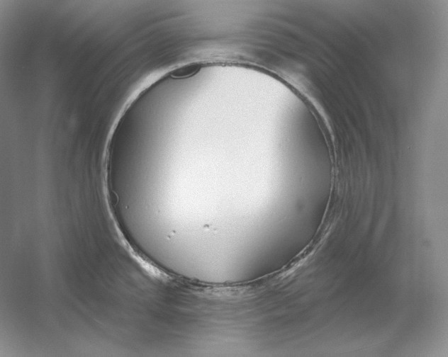 X0000052981437200508051029