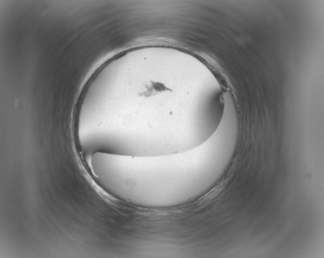 X0000052981438200508051029