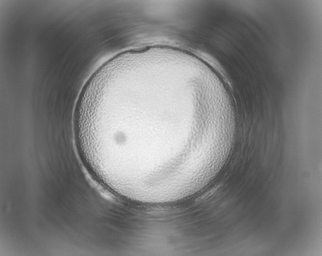 X0000052981439200508051029