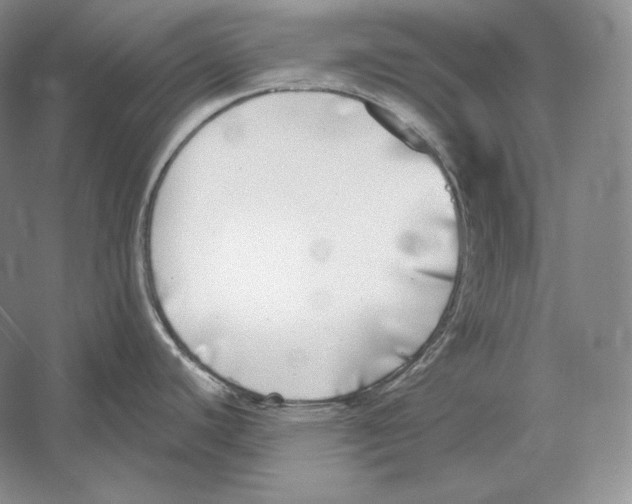 X0000052981440200508051029