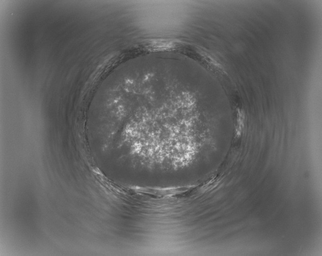 X0000052981441200508051028