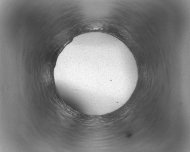 X0000052981442200508051028