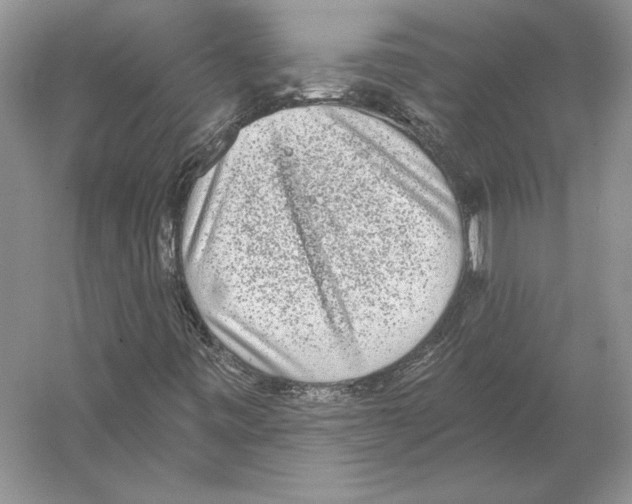 X0000052981443200508051028