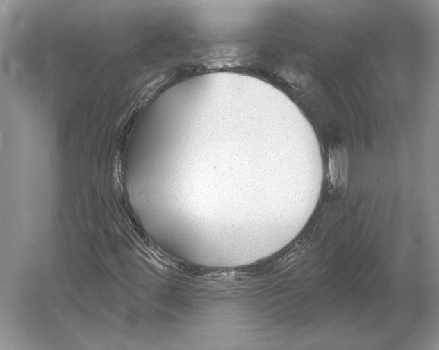 X0000052981444200508051028