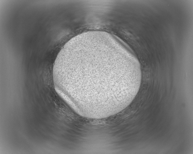 X0000052981446200508051028