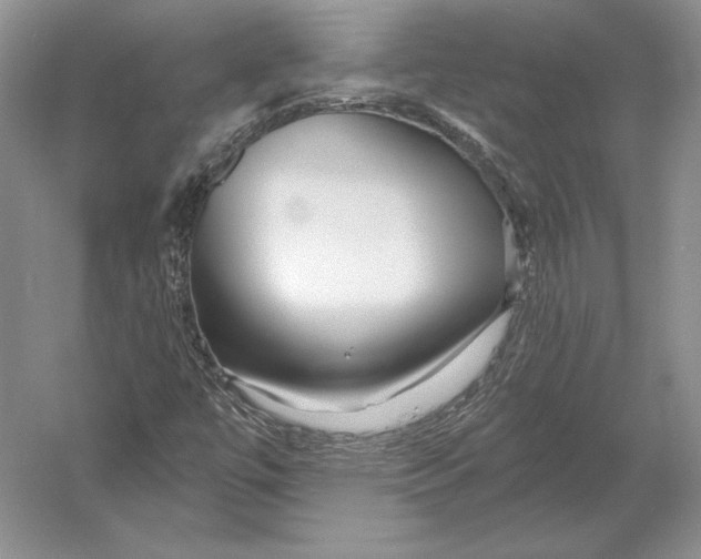 X0000052981447200508051028