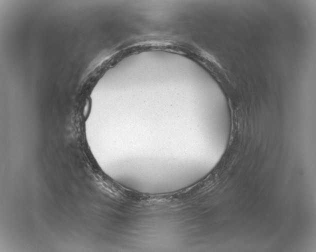 X0000052981448200508051028