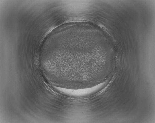 X0000052981449200508051028