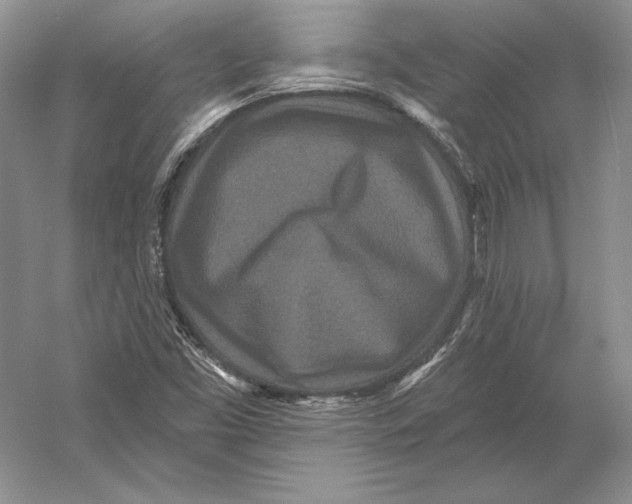 X0000052981453200508051028