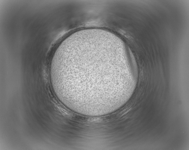 X0000052981454200508051028