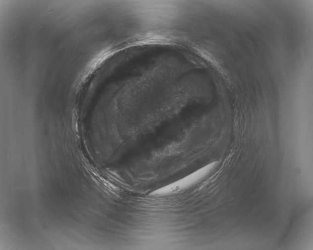 X0000052981455200508051028