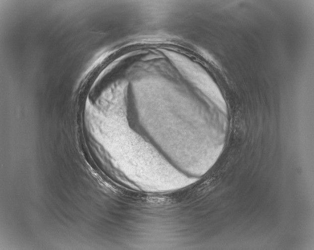 X0000052981456200508051028