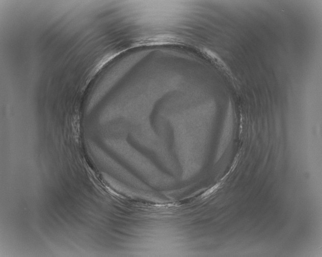 X0000052981457200508051028