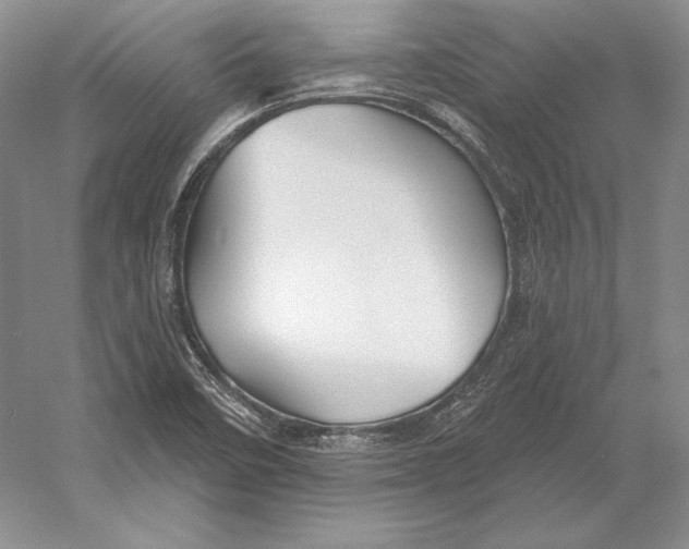 X0000052981458200508051028