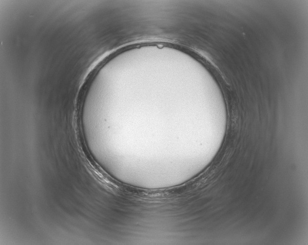 X0000052981460200508051028