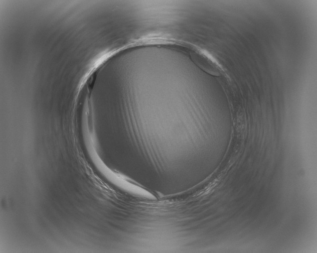 X0000052981461200508051028