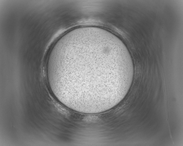 X0000052981462200508051028