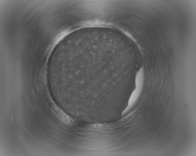 X0000052981463200508051028