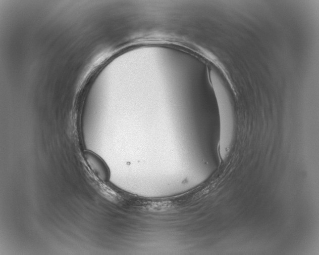 X0000052981464200508051028