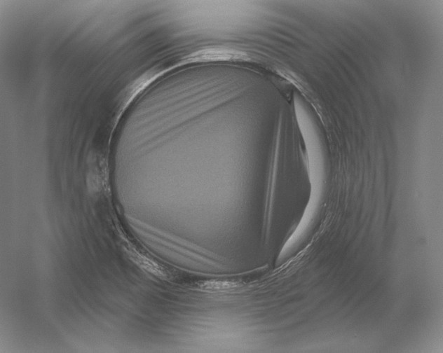 X0000052981465200508051028