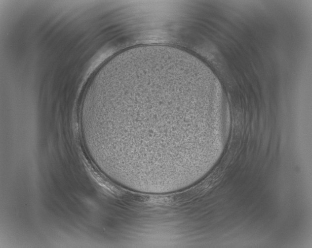 X0000052981466200508051028