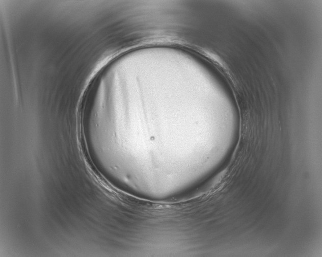 X0000052981467200508051028