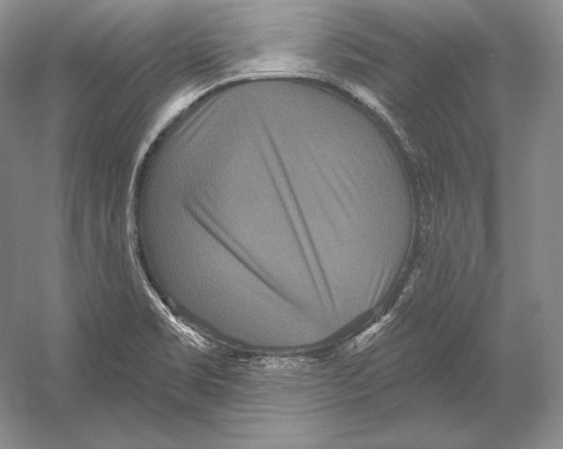 X0000052981469200508051028