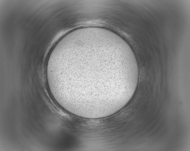 X0000052981470200508051028