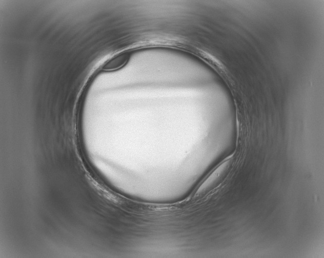 X0000052981471200508051028