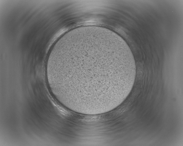 X0000052981474200508051028