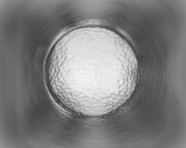 X0000052981475200508051028