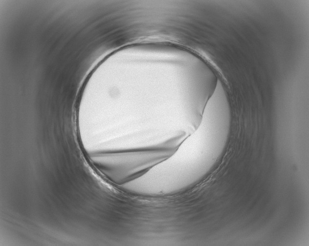 X0000052981476200508051028